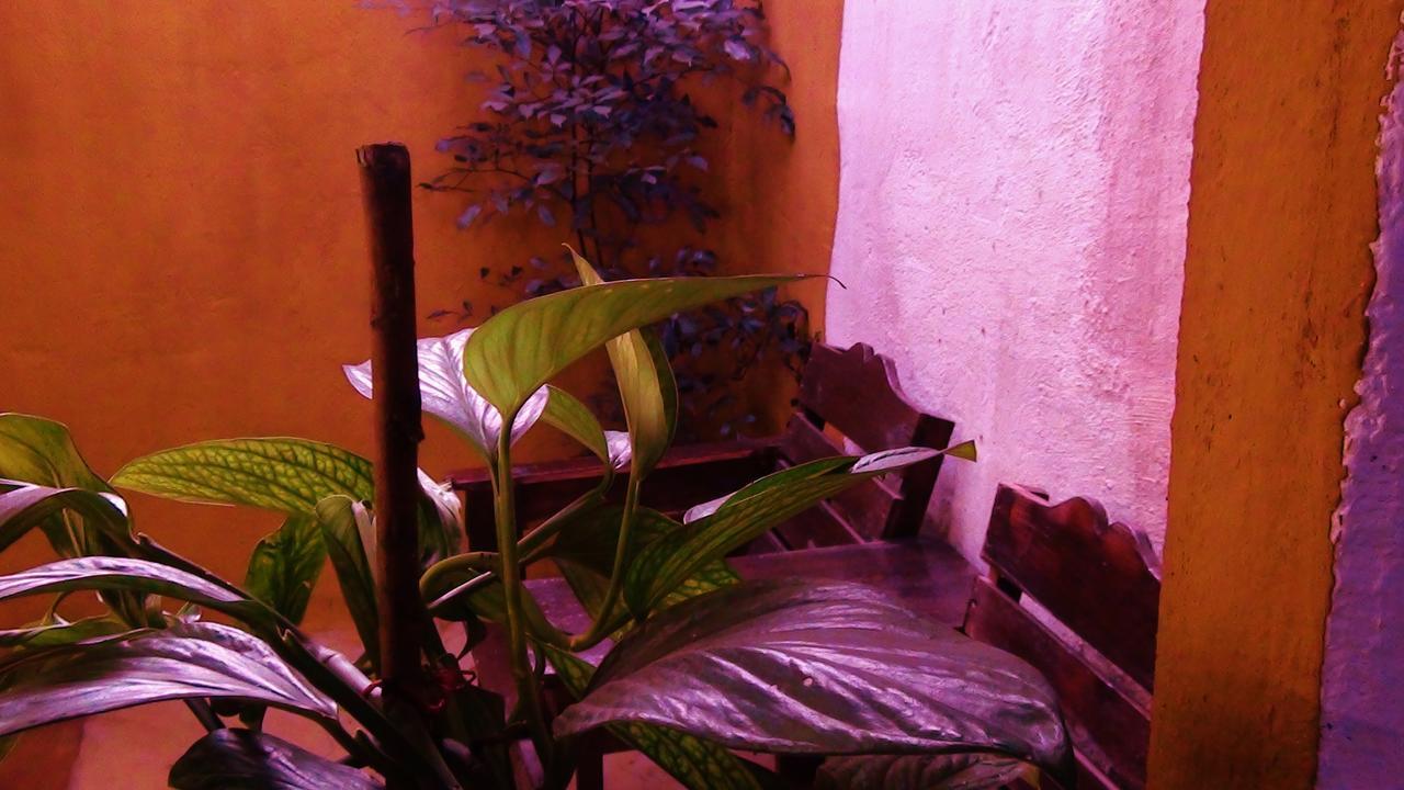 La Tora Hotel Managua Room photo