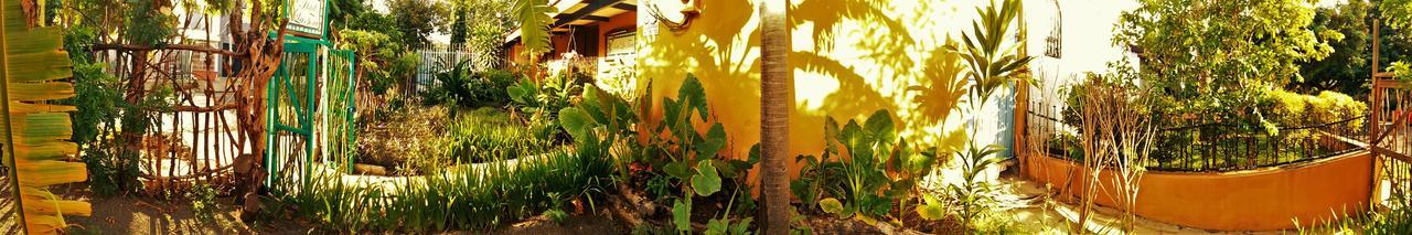 La Tora Hotel Managua Exterior photo