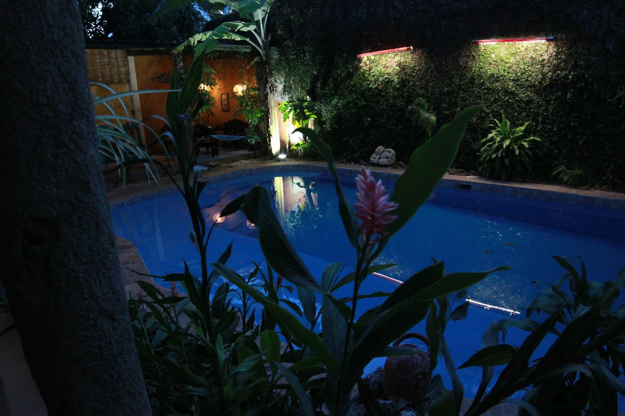 La Tora Hotel Managua Exterior photo