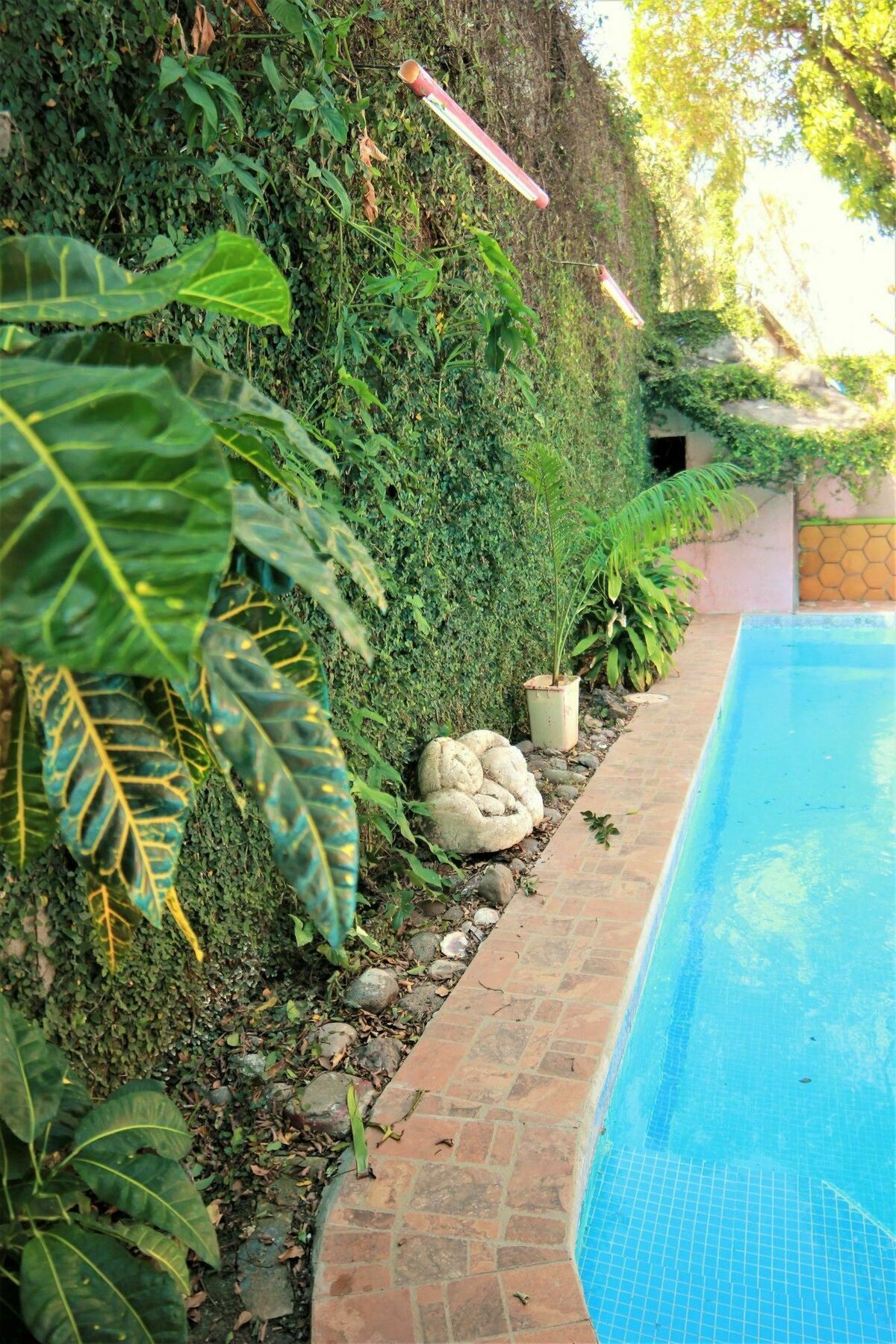 La Tora Hotel Managua Exterior photo